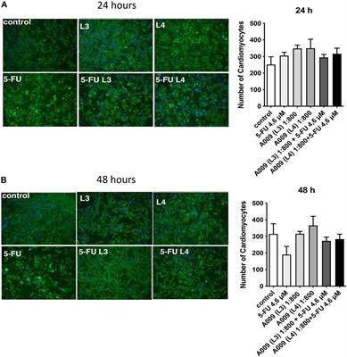 A Polyphenol-Rich Extract of Olive Mill Wastewater Enhances Cancer Chemotherapy Effects, While Mitigating Cardiac Toxicity